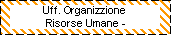 Casella di testo: Uff. Organizzione
 Risorse Umane - 

