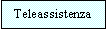Casella di testo: Teleassistenza